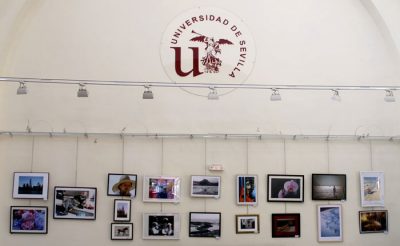 V Premio de Fotografía y Pintura (mayo 2015)