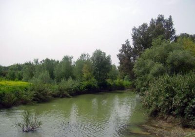 Corredor Verde del Río Guadiamar