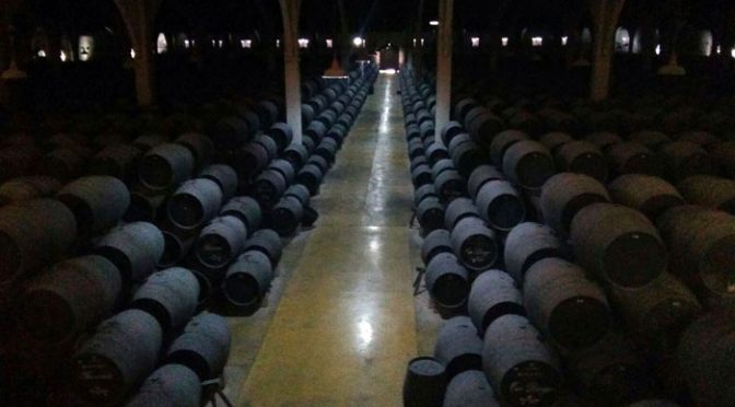 Jerez de la Frontera (bodega Marqués del Real Tesoro)
