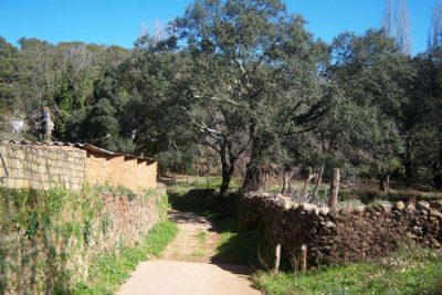 Imagen del recorrido por el Risco de Levante