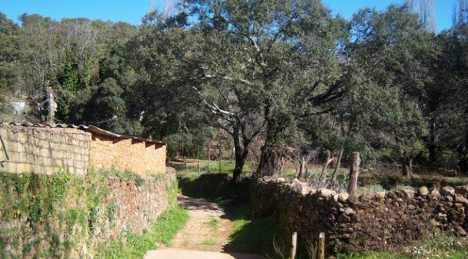 Imagen del recorrido por el Risco de Levante