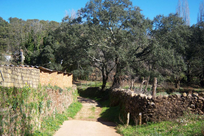 Imagen del recorrido por el Risco de Levante